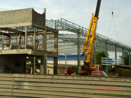 Integrated concrete and steel erection