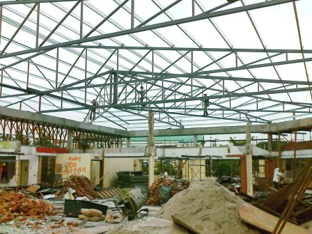 Steel roof framing